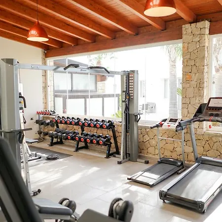 Ferrocino غالاتوني