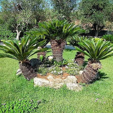 Ferrocino Resort Galatone
